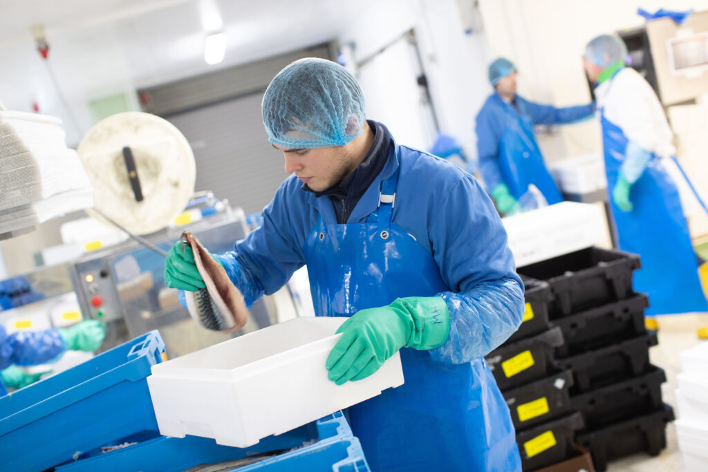 Food safety services photo