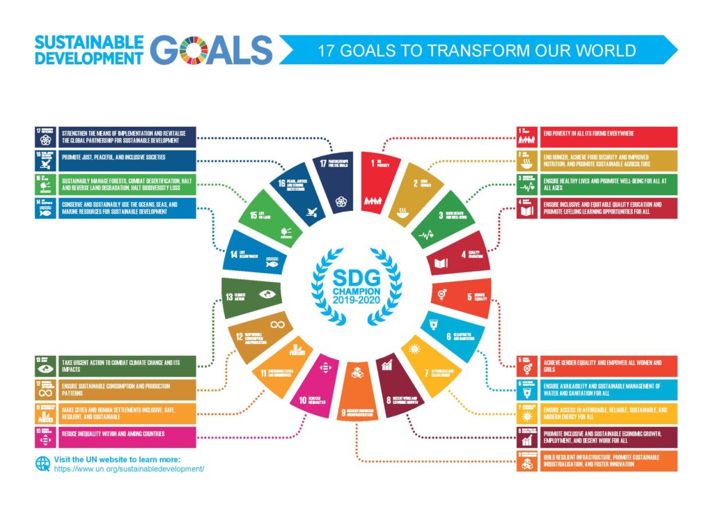 BIM-Infographic-SDG-Champions-2019-2020-page-001