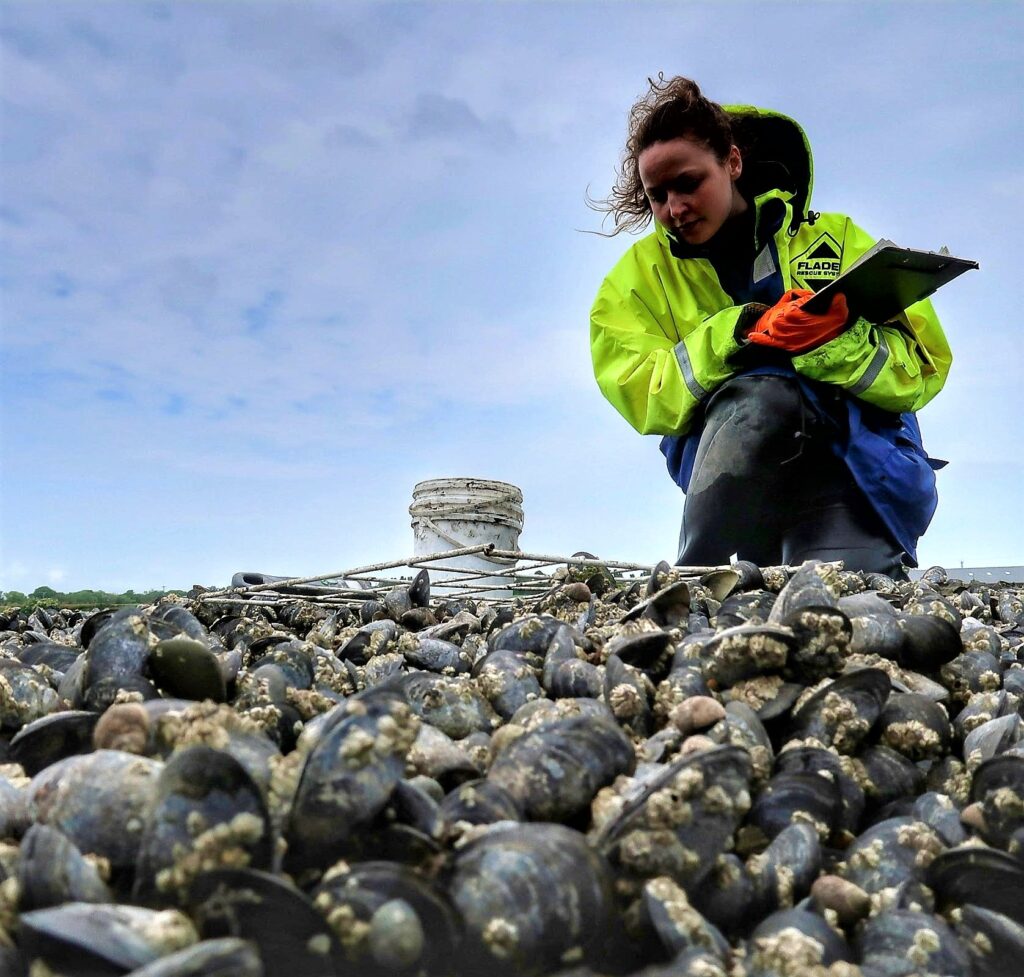 Photo for BlueFish Industry Project