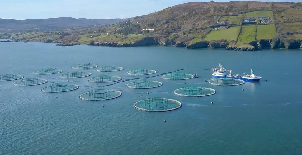 Aquaculture and Aquatech